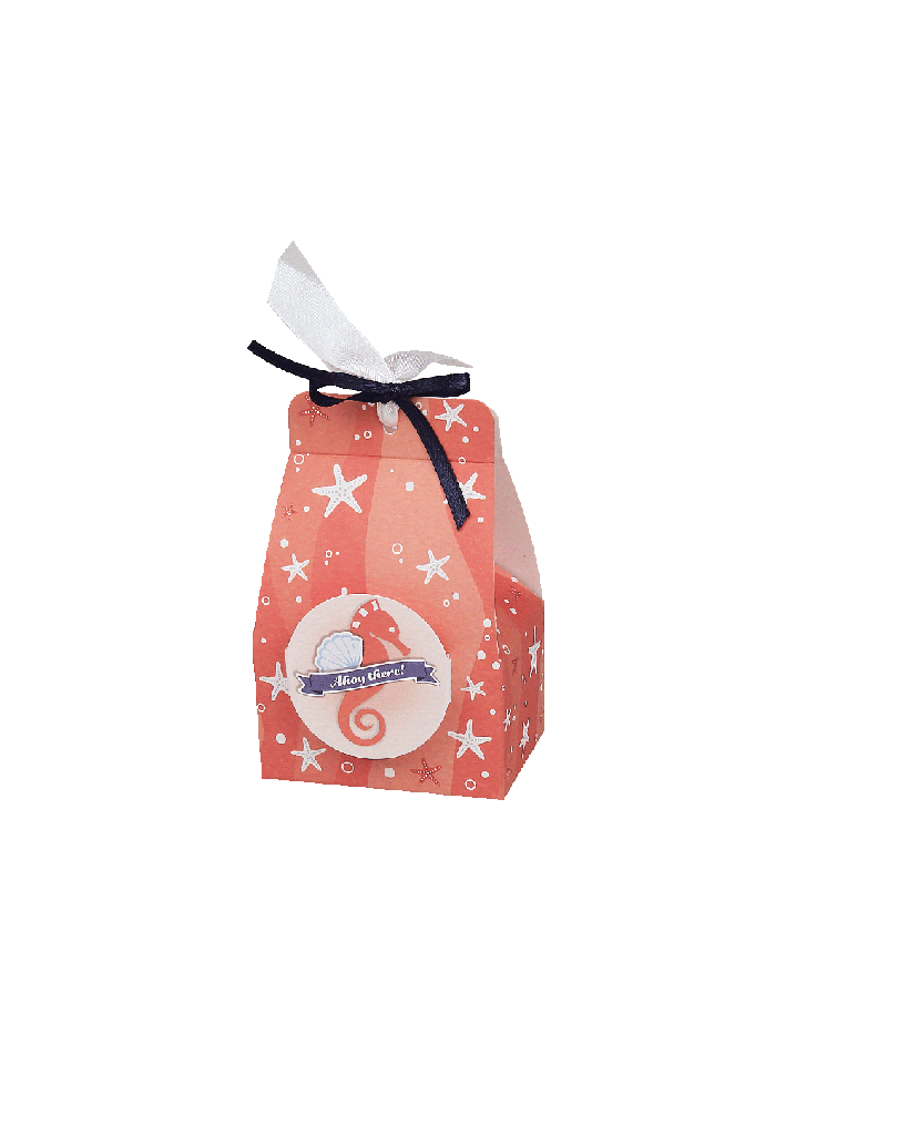 Astuccio stelle marine su fondo corallo con bollino pop up cavallo marino corallo