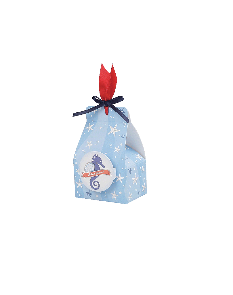 Astuccio stelle marine su fondo celeste con bollino Pop Up cavallo Marino