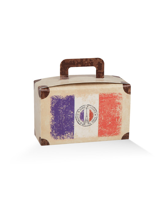 Valigia Francia + aereo