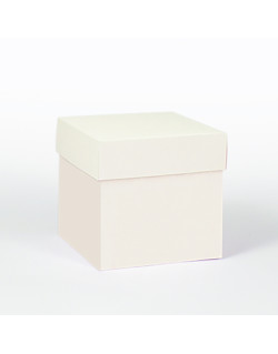 Scatolina fondo e coperchio crema