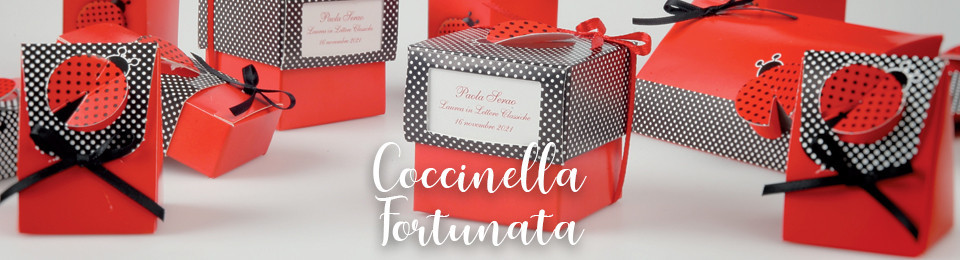 Coccinella Fortuna